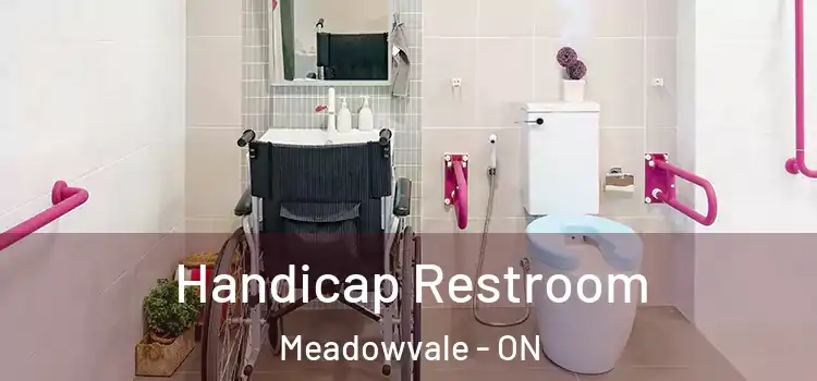 Handicap Restroom Meadowvale - ON