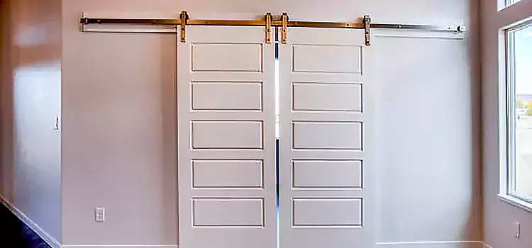 Glass Barn Door with Installation Hardware Kit Meadowvale