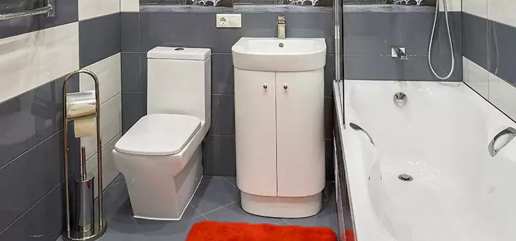 Hansgrohe Shaving Mirror Meadowvale